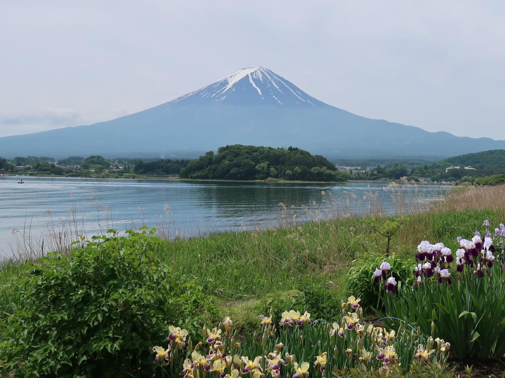 蔵の宿 松屋 富士河口湖町 エクステリア 写真