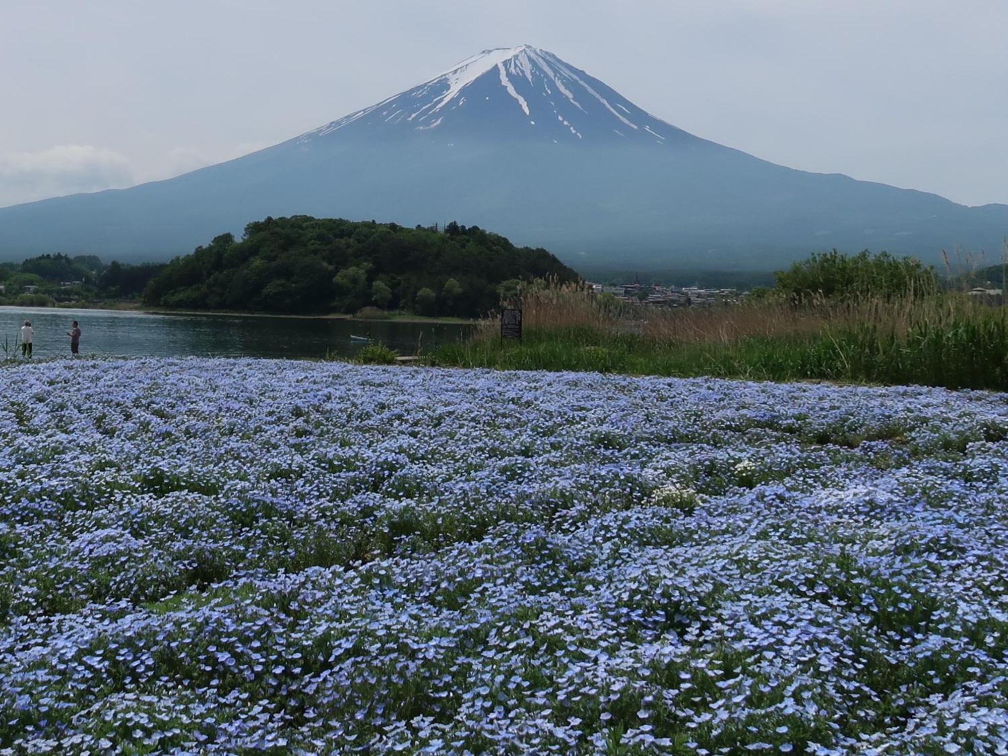 蔵の宿 松屋 富士河口湖町 エクステリア 写真